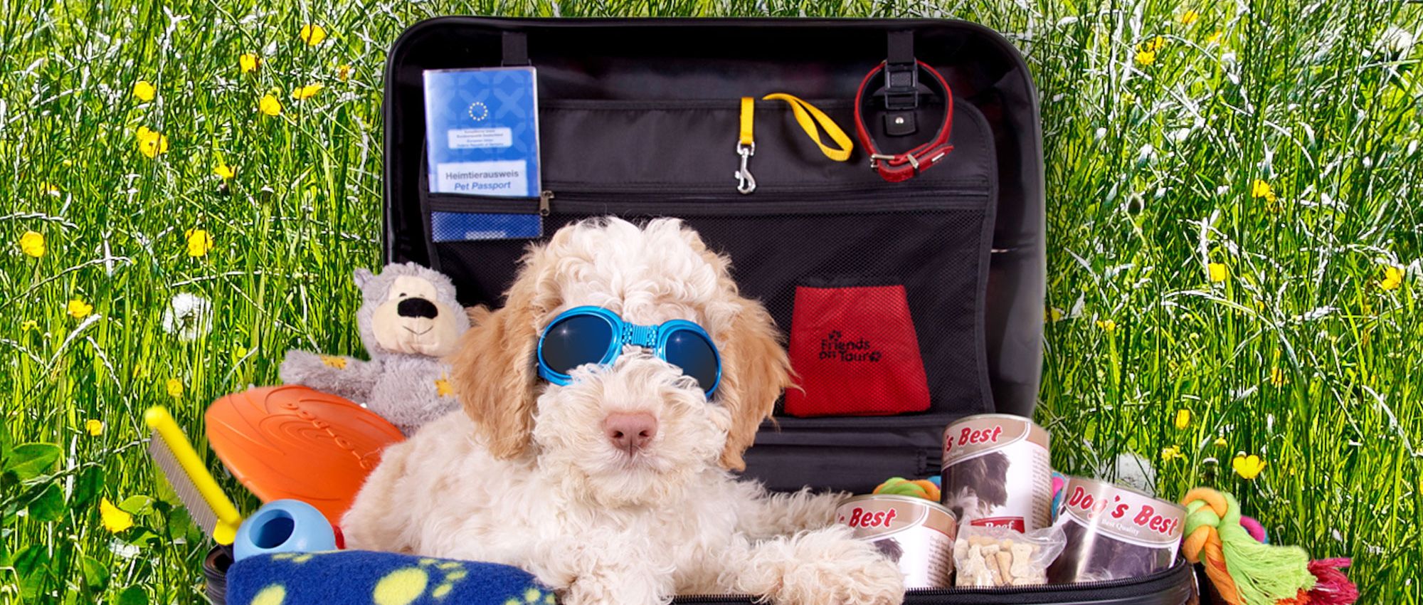 Packliste: Was Sie keinesfalls vergessen sollten!