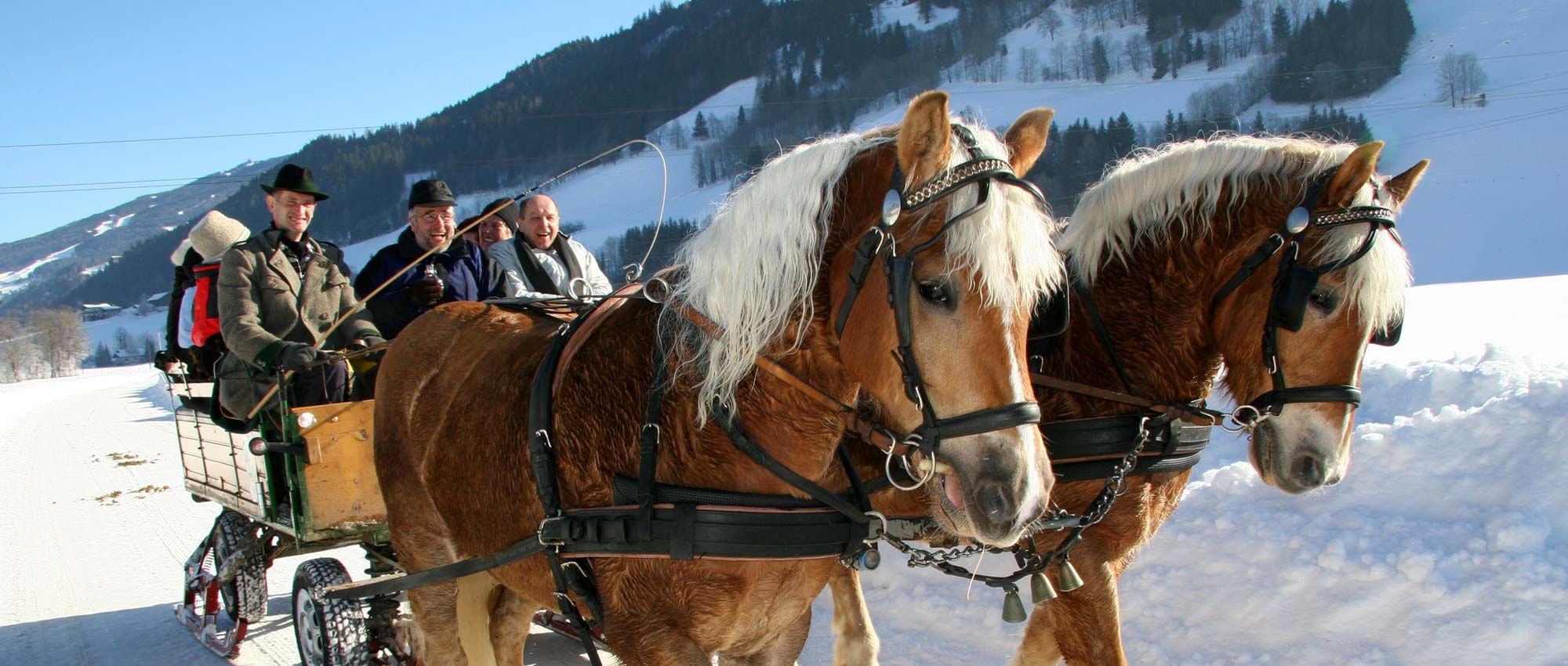 Pferdeschlittenfahrten in Schladming