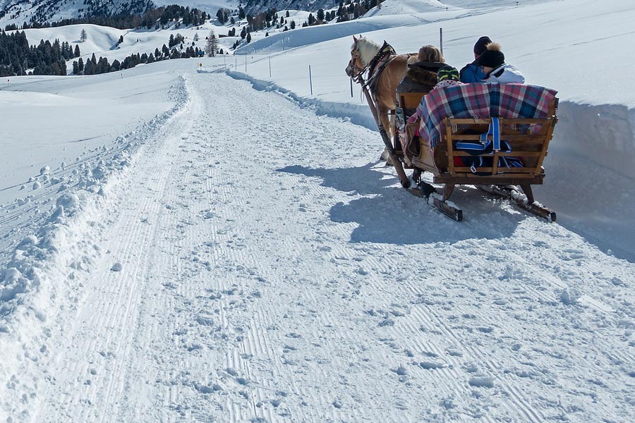 Mehrere Personen in einer Pferdekutsche fahren im Schnee